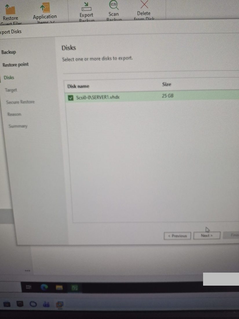 Export için seçilen disk: Scsi0-0\SERVER1.vhdx (25 GB)